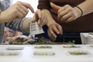 Hydroponic Farming